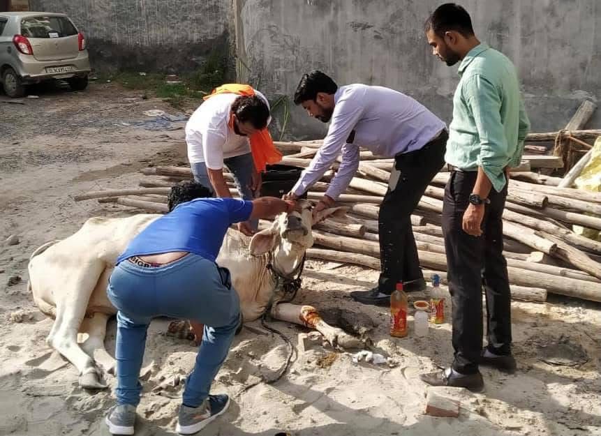 Gau Seva Initiative